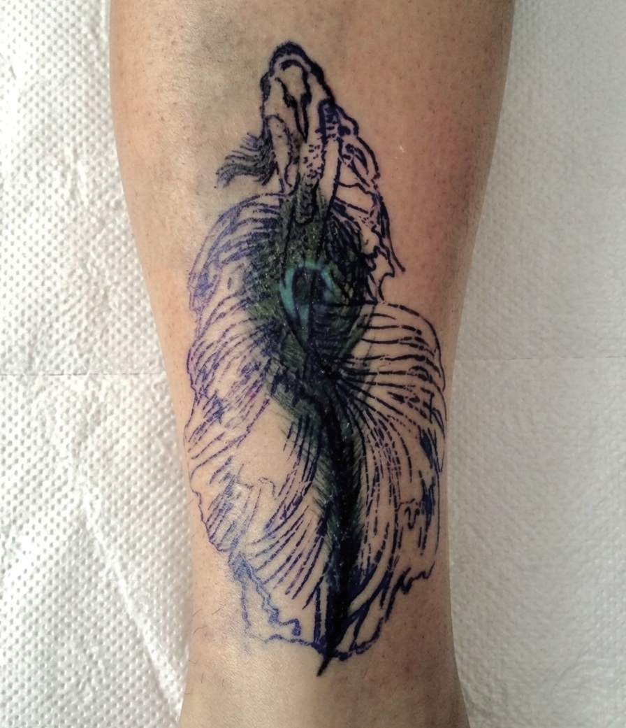 Blue Betta Fish Calf Cover-Up - Before