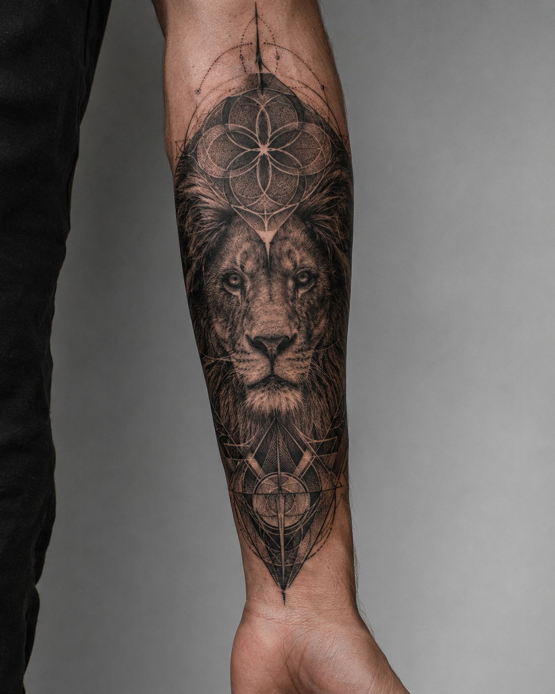 Lion and geometry concept with a frame around the animal's face.