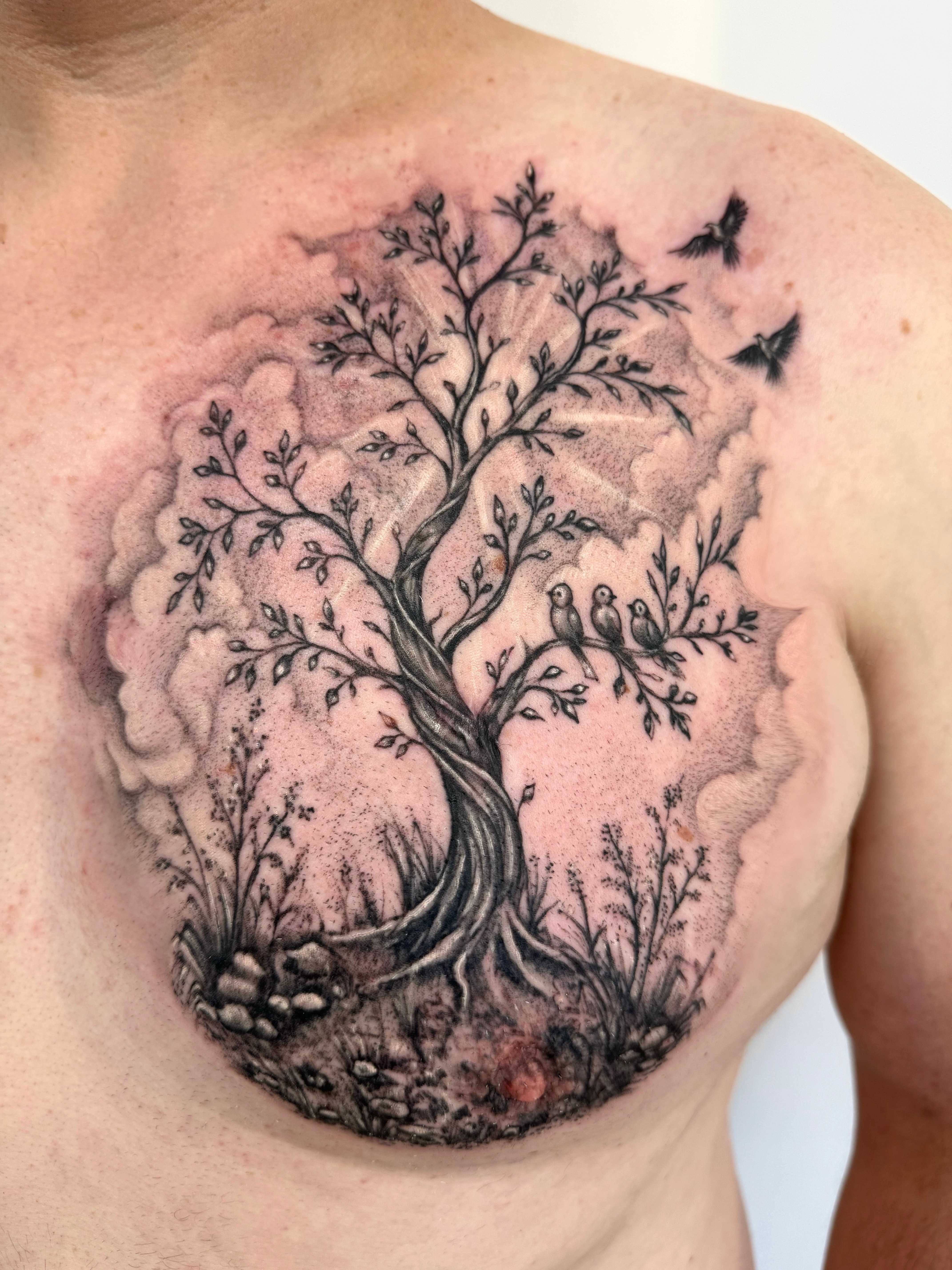 Black and grey family tree chest tattoo with three perched birds, two flying birds and roots among stones