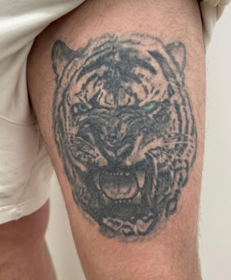 Old tiger tattoo on the thigh before the Cover-Up