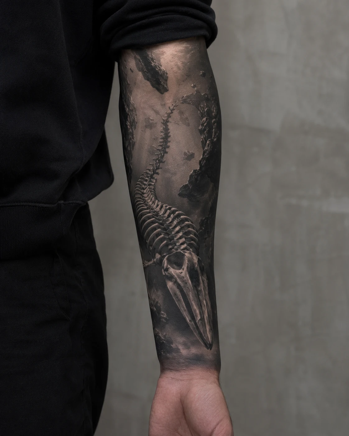Detailed bird skeleton stretches across weathered stone texture with fine bones and archaeological shading.