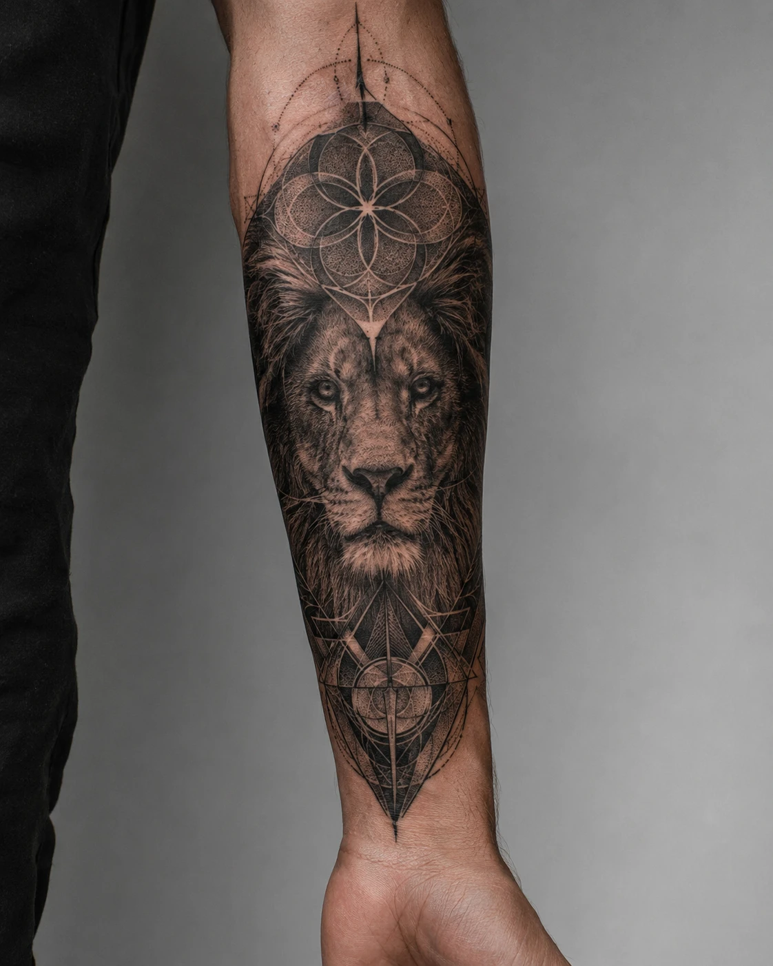 Lion portrait with geometric lines tattoo on the forearm
